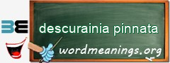 WordMeaning blackboard for descurainia pinnata